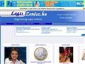 http://lagzizenesz.hu ismertető oldala